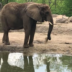 Meet your Posher, Jen